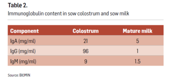 Table 2. Immunoglobulin content in sow colostrum and sow milk