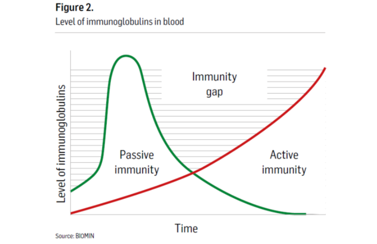 Figure 2. Level of immunoglobulins in blood
