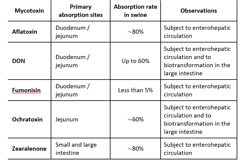 Table 1: Rate and absorption sites of different mycotoxins