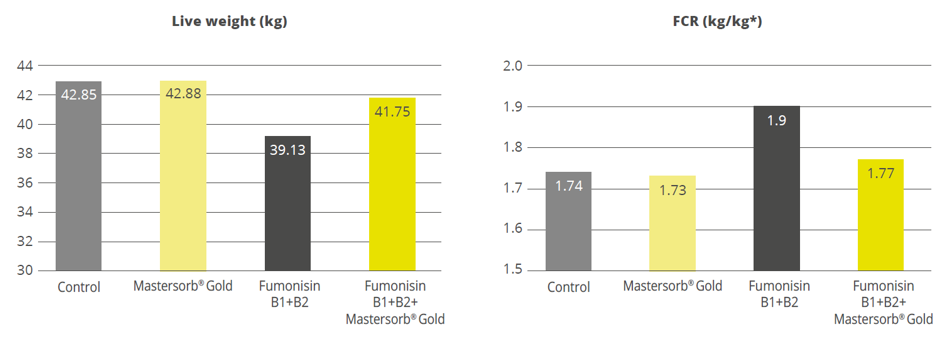Figure 3: Mastersorb® Gold boosts performance for pigs fed a fumonisin-contaminated diet