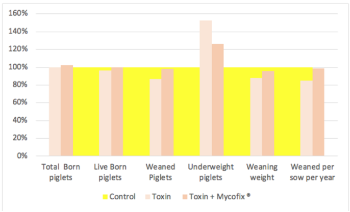 Figure 6. Effect of ZEN and DON on reproductive indices. The yellow area represents the control group, presented as 100 percent performance.