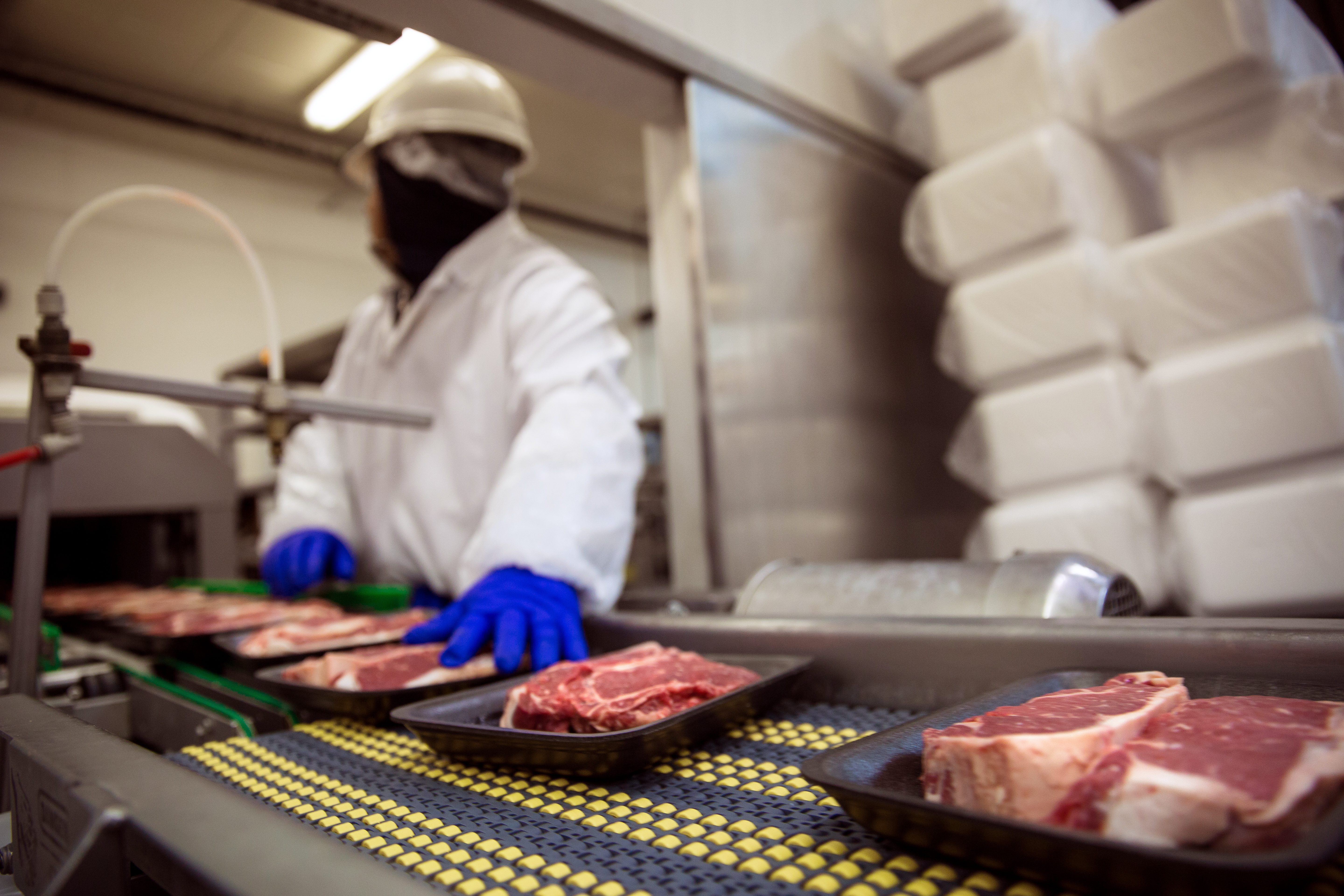 meat plant worker at the processing line