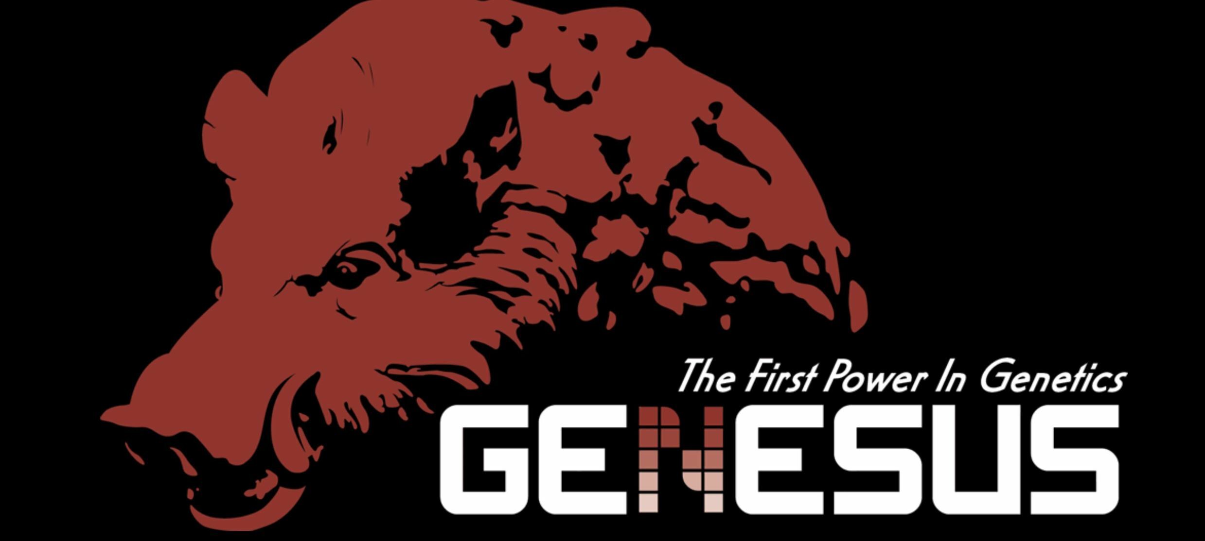 Genesus International Marketplace Record – USA