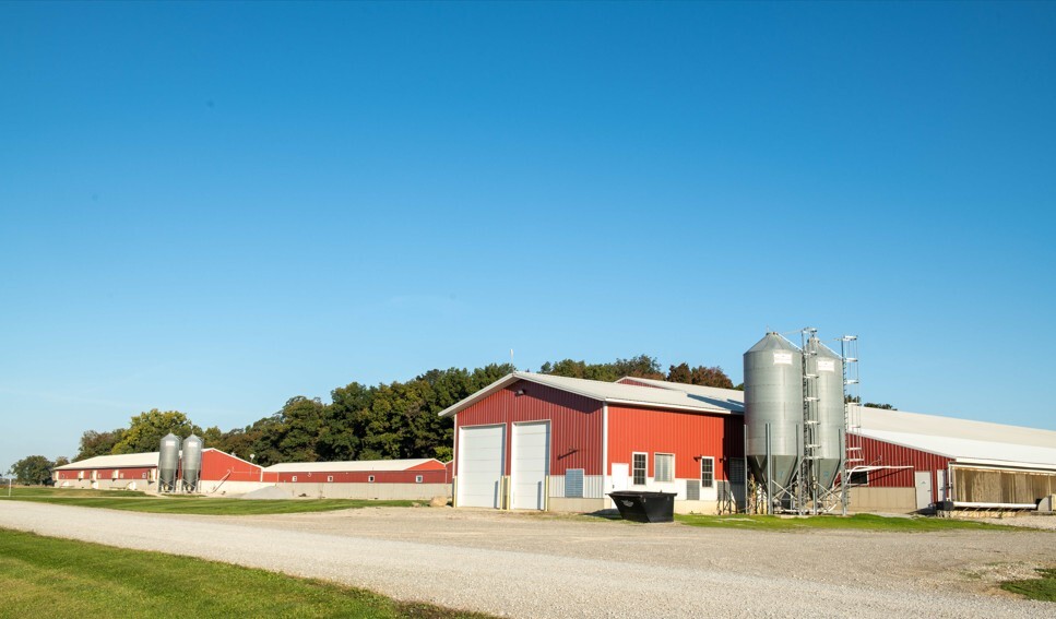 Ohio pig farmers land victory with Governor DeWine's signed 2026-2027 budget