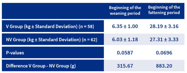 Table 2. Average body weight per piglet in the evaluated study days in vaccinated group (V) and non vaccinated group (NV)