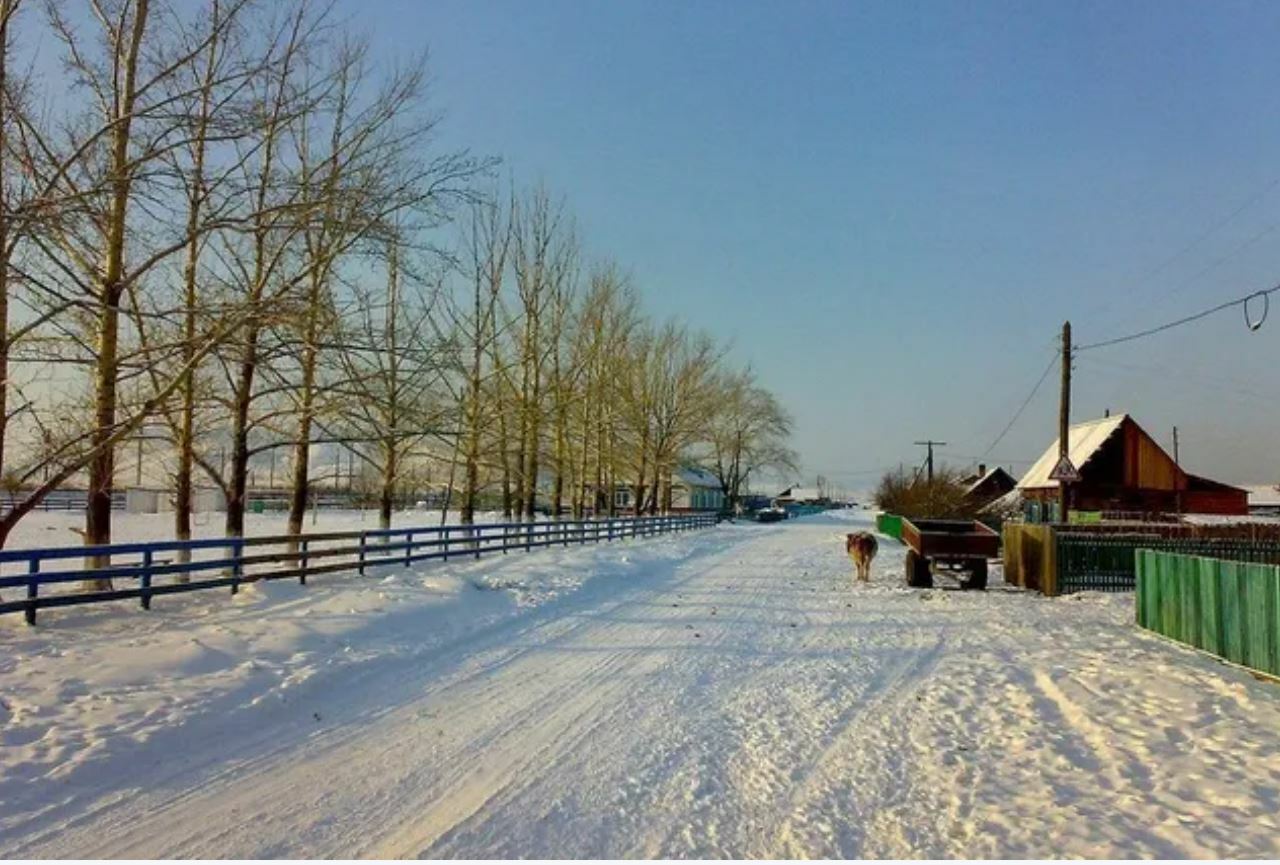 Brutal chilly spell nips US iciness wheat, stresses farm animals