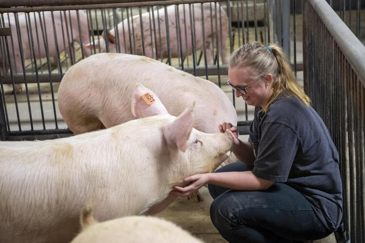 New University of Illinois Vet Med program offers early acceptance of future food animal vets