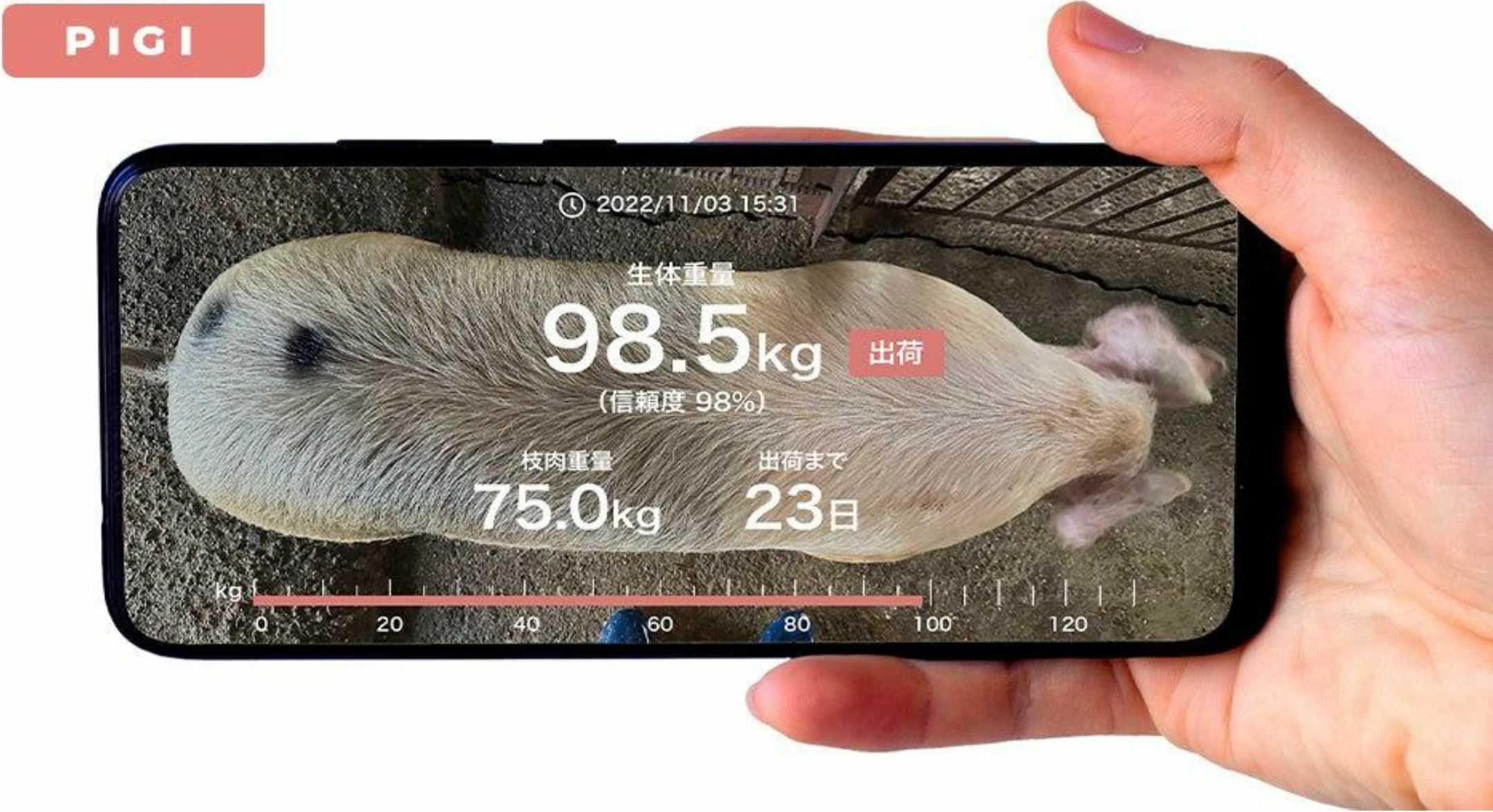 DX “PIGI Professional” AI digicam weighs pigs