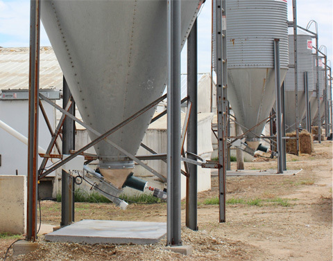 Osborne Industries Drift Professional feeding machine for pigs