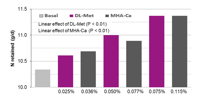 Figure 3. Effects of graded levels of DL-Met or MHA-Ca supplementation on N-retention (Exp. 2)