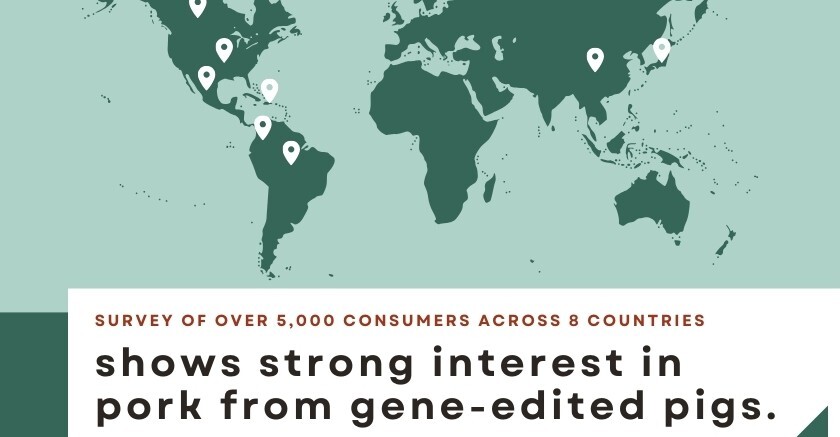 New market research finds US consumer interest in pork from gene-edited pigs