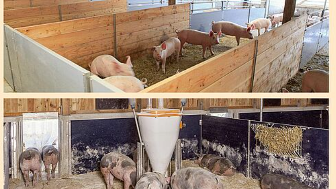 Balanced pressure ventilation in pig houses with open fronts