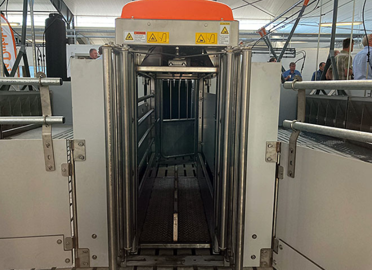 The TriSort entrance gate is open as long as the station is empty. When a pig enters the scale, the gate automatically closes due to the weight change, and the weighing process of three seconds starts. Afterwards, the exit gate opens automatically.