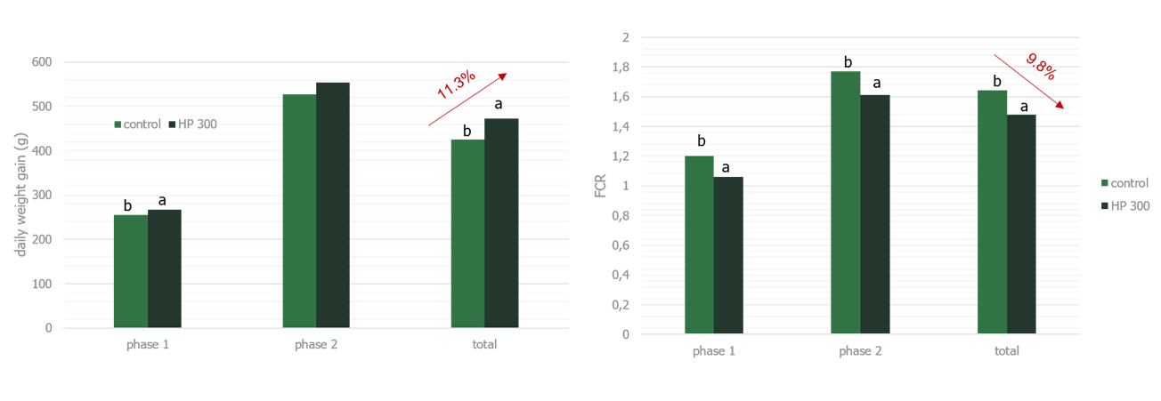 Figure 5. Results from a commercial farm trial at Landwirtschaftskammer Schleswig-Holstein 2017. HP 300 significantly improved weight gain and FCR in nursery pigs (P<0.05)