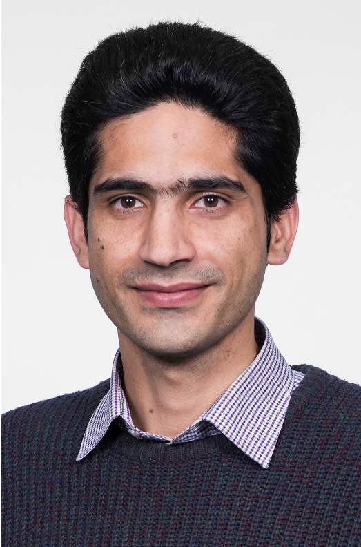 Dr Mahdi Ghanbari, BIOMIN Research Center