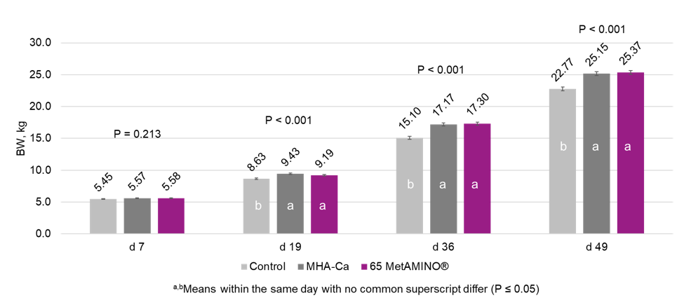 Figure 1. Effect of 100 parts of MHA-Ca and 65 parts of MetAMINO® (DL-methionine) on body weight of nursery pigs.