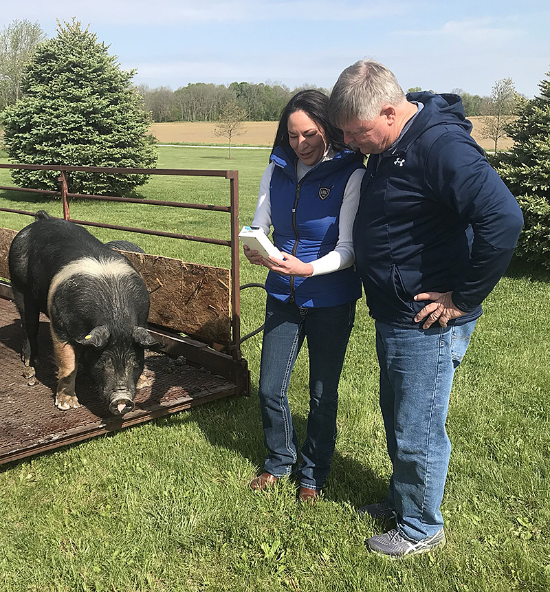 Liane Hart, CEO and co-founder of Verility LLC, and Jeff Muegge, research manager at Blue River Research Services in Carthage, Indiana, review results from a semen analysis sample on the Fertile-Eyez technology platform before artificial insemination of a sow. Verility, a woman-owned, high-tech startup, is commercializing technology that provides rapid, low-cost and accurate assessment of livestock semen and ovulation samples.