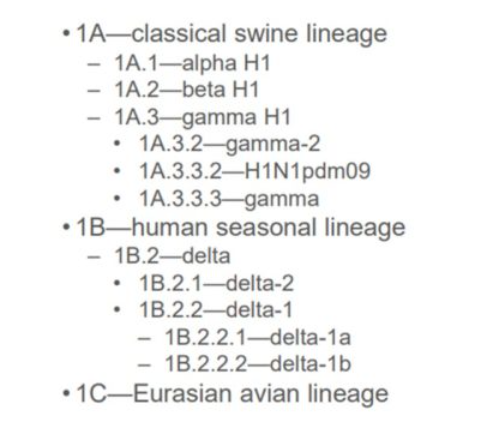 Figure 3. Global nomenclature for H1