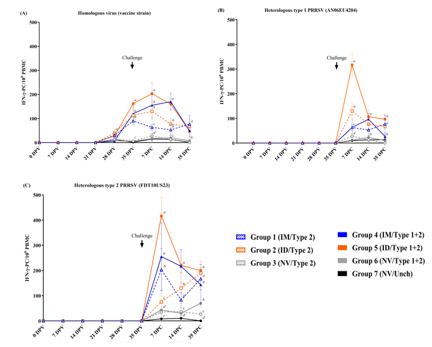 Figure 3. Evaluation of PRRSV-specific IFN- γ -secreting cells (SC) after stimulation with (A) homologous virus (vaccine virus), (B) heterologous PRRSV1 (AN06EU4204) and (C) heterologous HP-PRRSV2 (FDT10US23). Values are expressed as the mean±SEM.