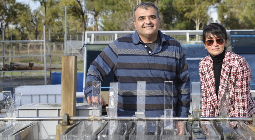 Associate Professor Navid Moheimani and Professor Parisa A. Bahri from Murdoch University have begun an ambitious research study to clean abattoir wastewater and convert into useable products