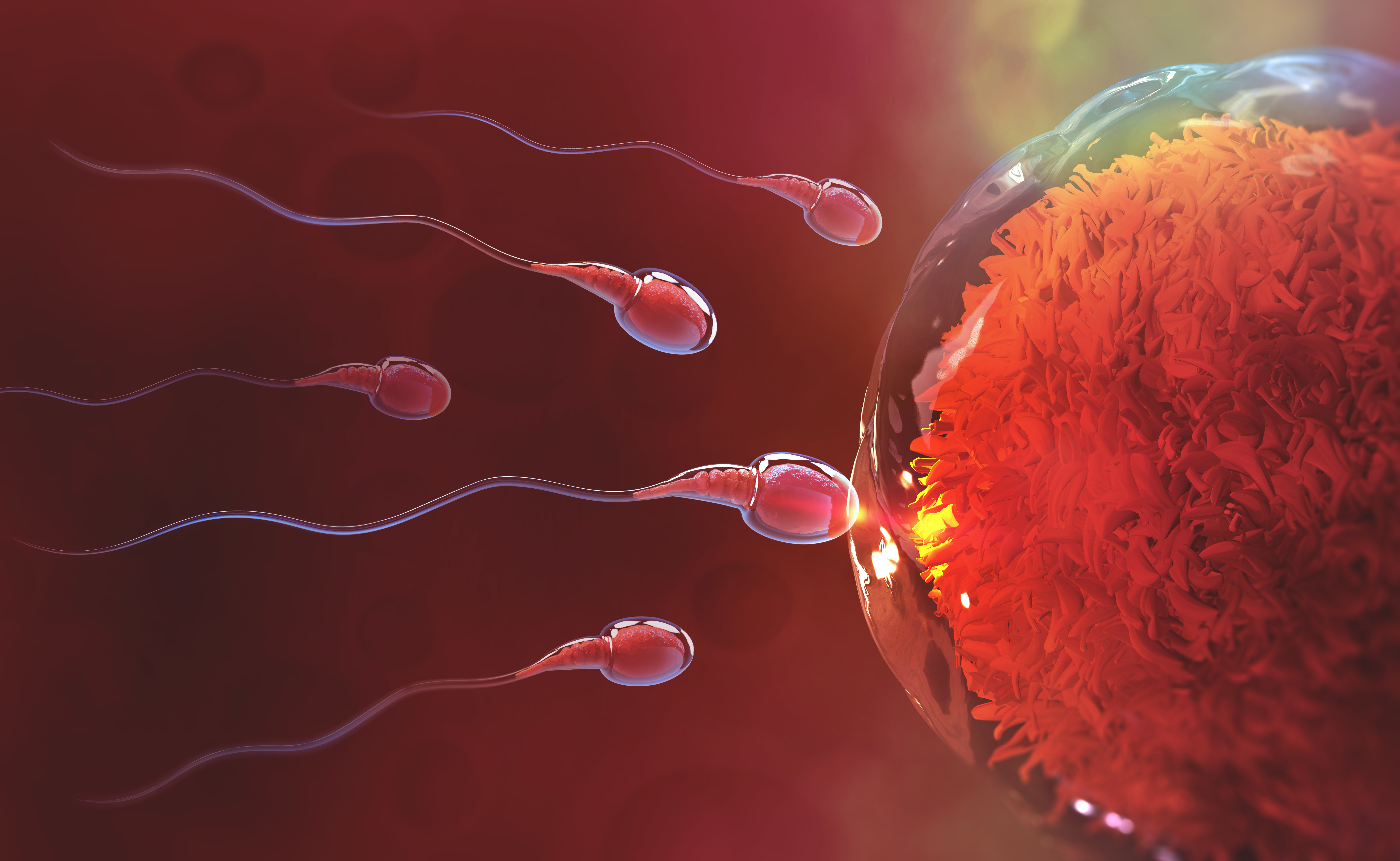 сперма в малолетке во влагалище фото 9
