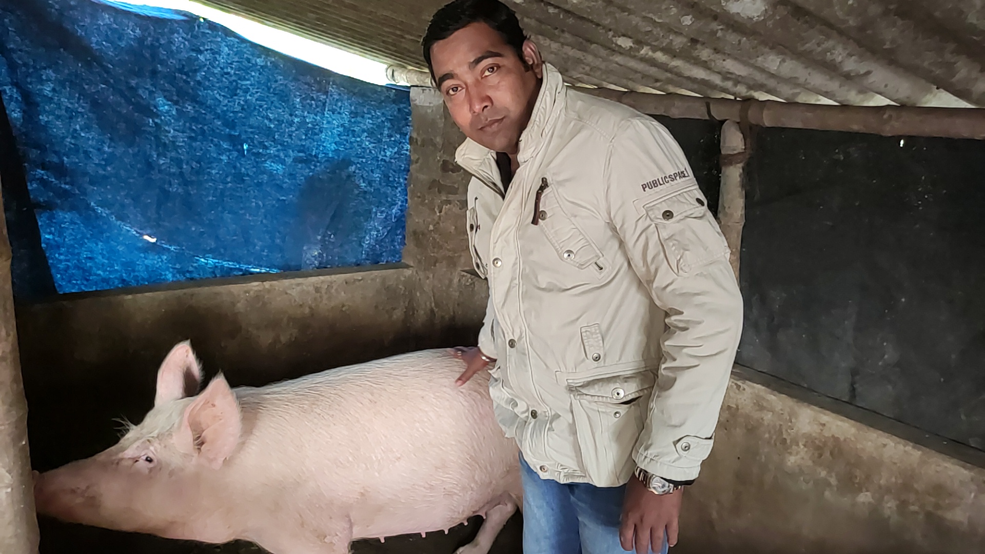 Amit Das, pig farmer based in Bon Hooghly village