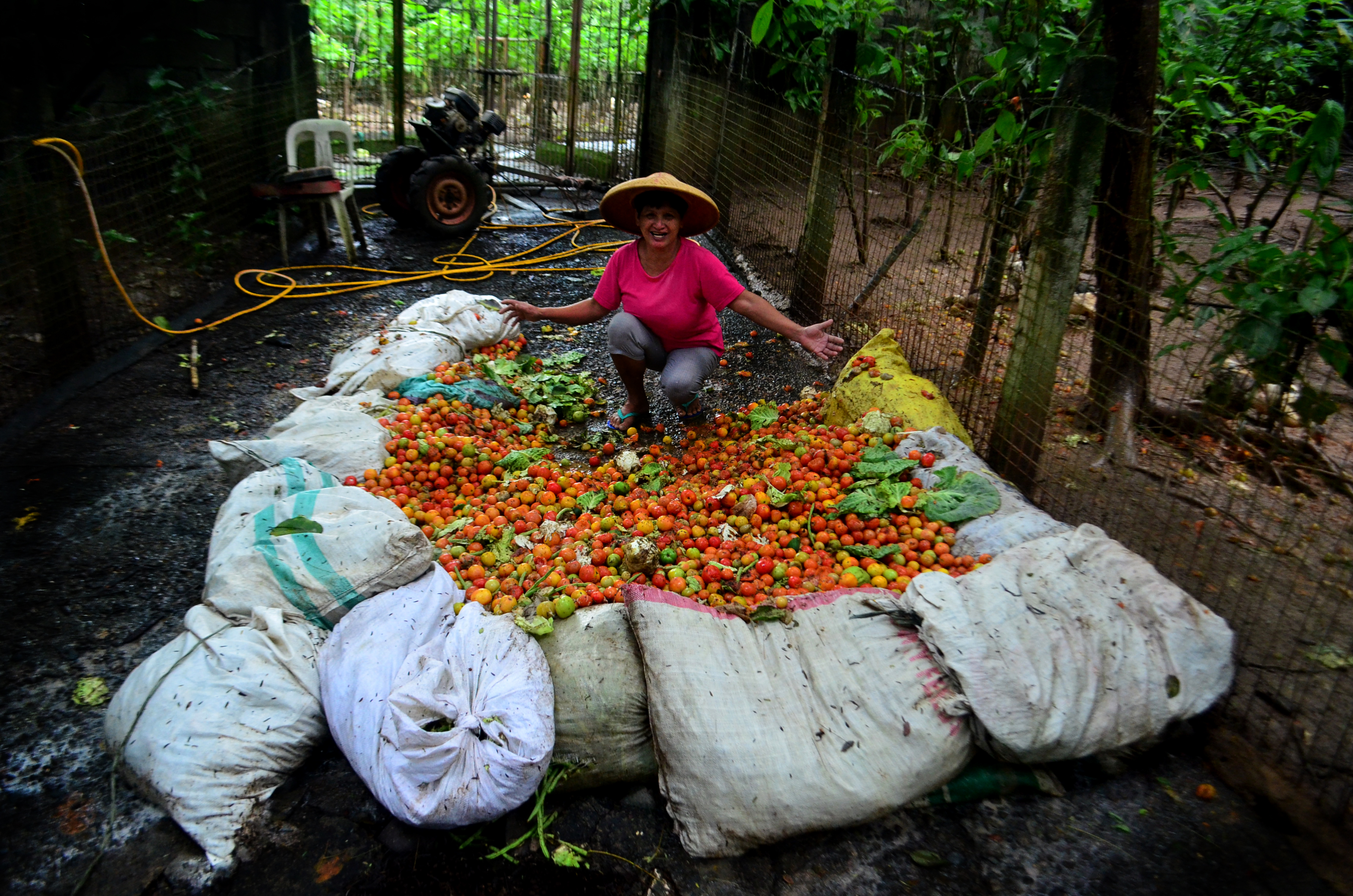 Colourfully-clad caretaker Jocelyn Barroga poses with sacks full of tomatoes, cabbages, stringbeans and other unsold vegetables sourced from the NVAT