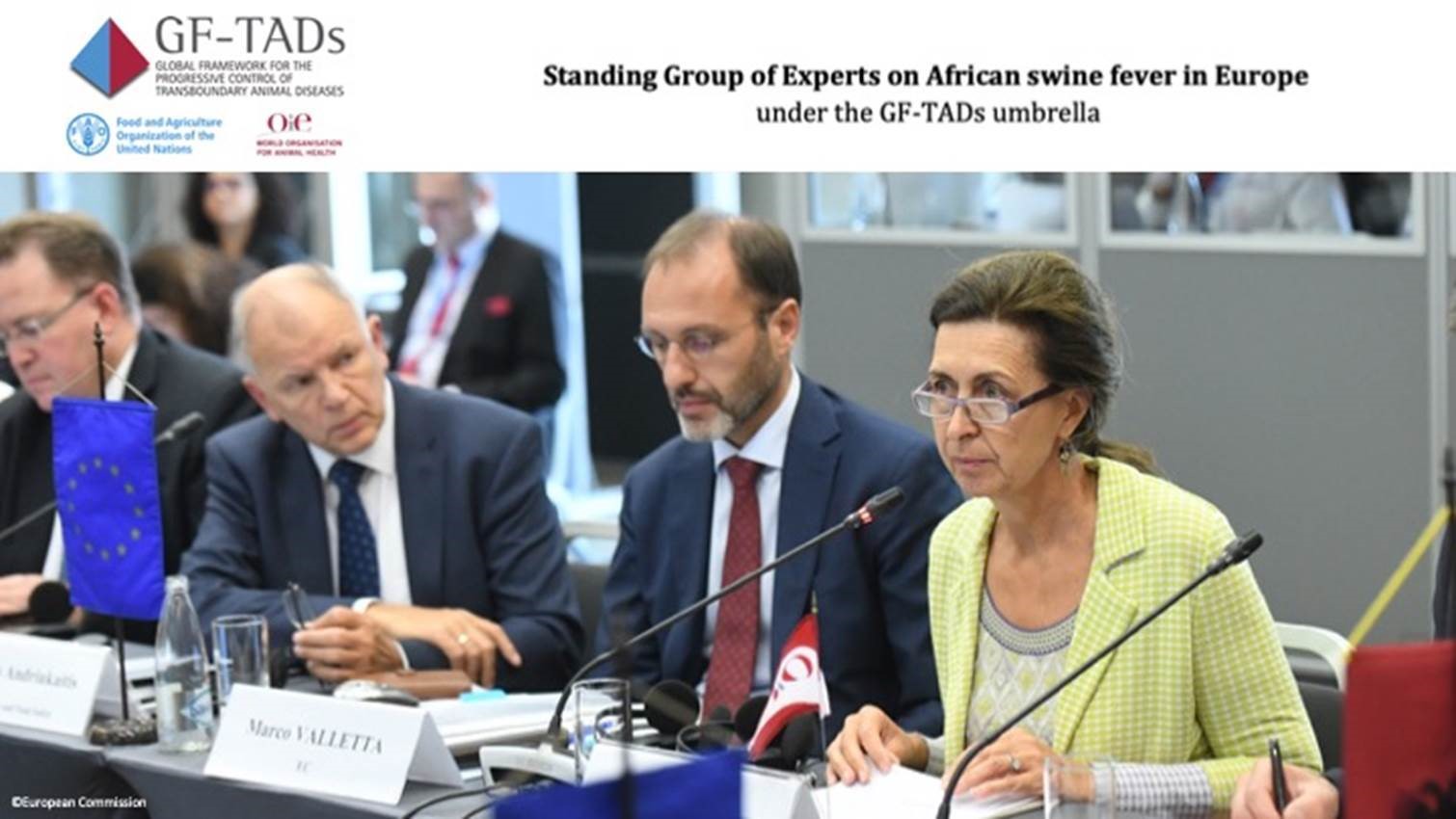 members of the OIE African swine fever group meeting in 2019