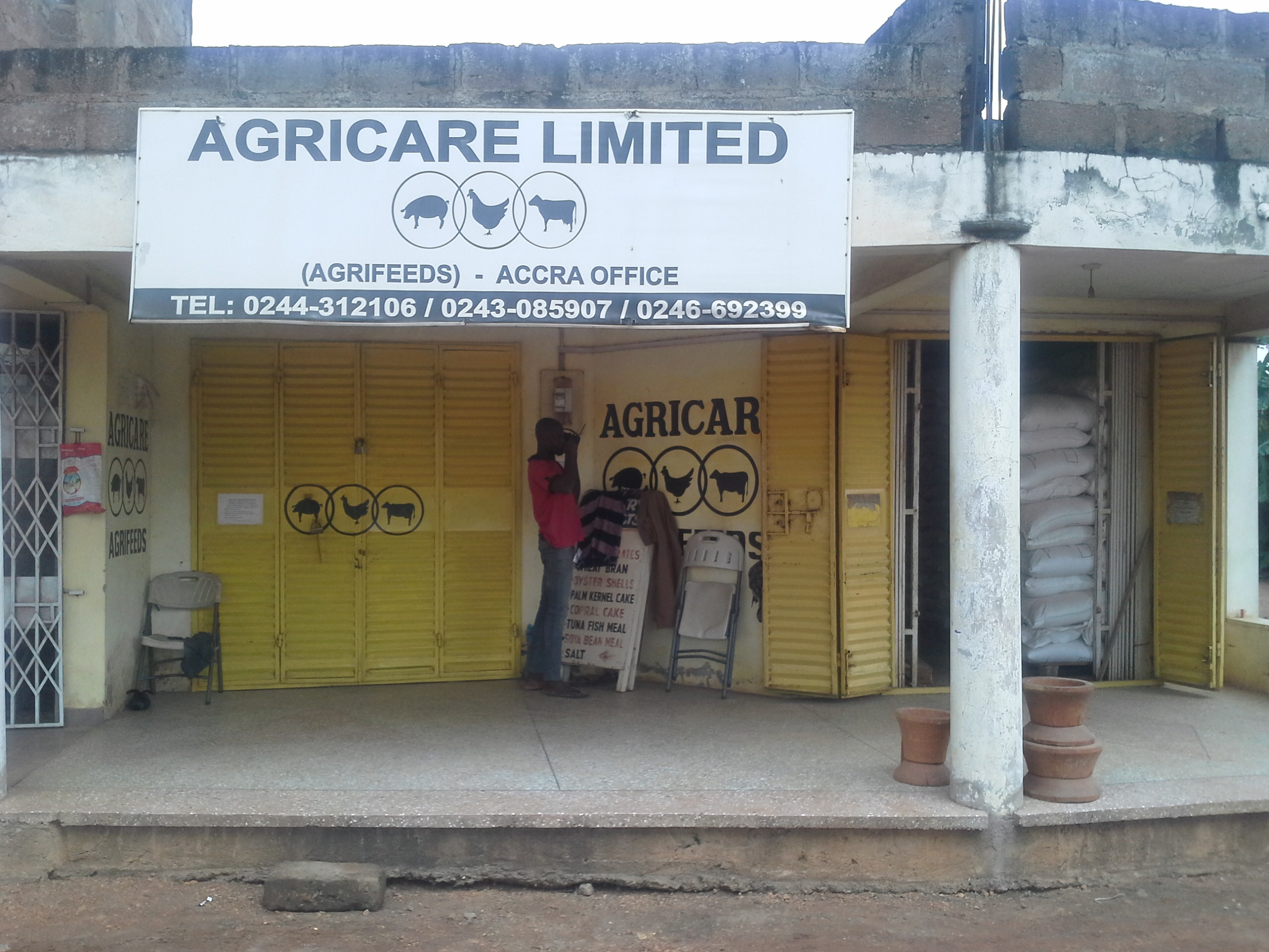 Agricare Limited Office, Ghana. Officials from Agricare told Efua Okai that while they are not putting pig feed on the shelves, they are interacting with the pig farmers, and are always ready to respond to their specific needs.