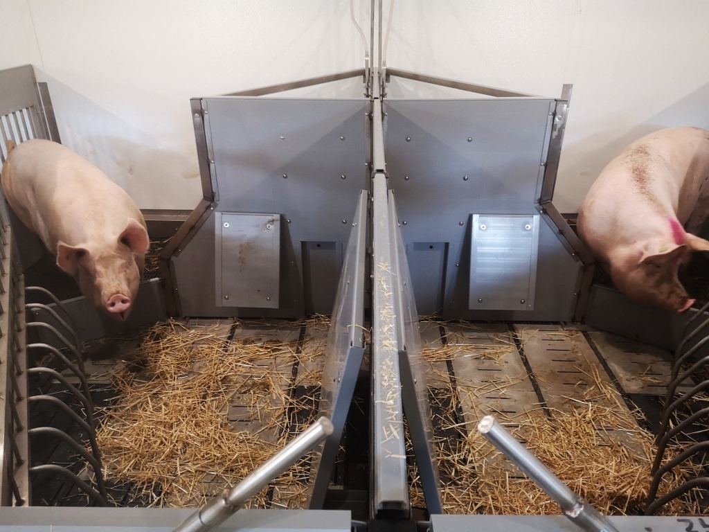 PigSAFE has some of the highest welfare standards for indoor production and it is likely to attract a premium brand