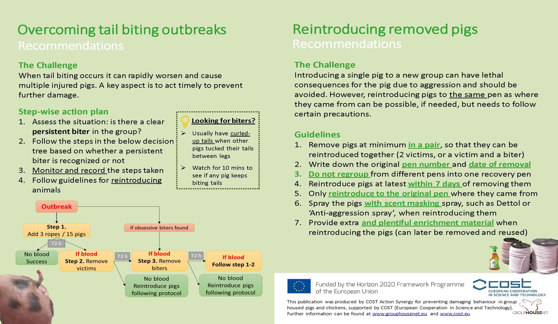 Leaflet on how to overcome tail biting outbreaks
