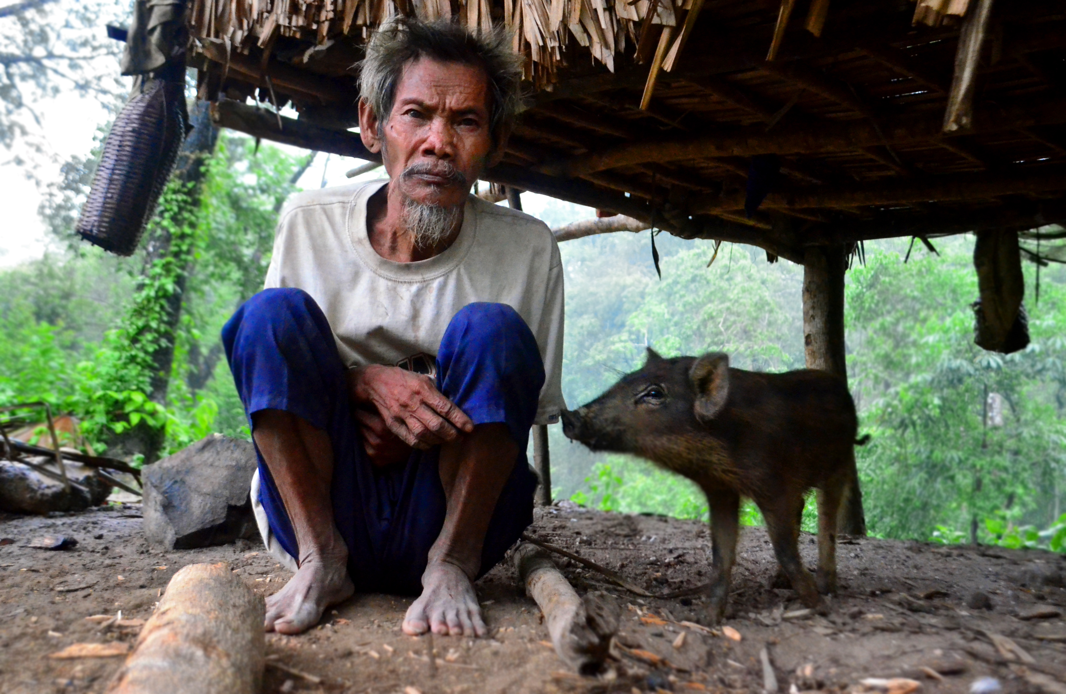 The Native Pig has kept Pinoys company for thousands of years. Shown is a native Baboy Mangyan in the highlands of Mindoro