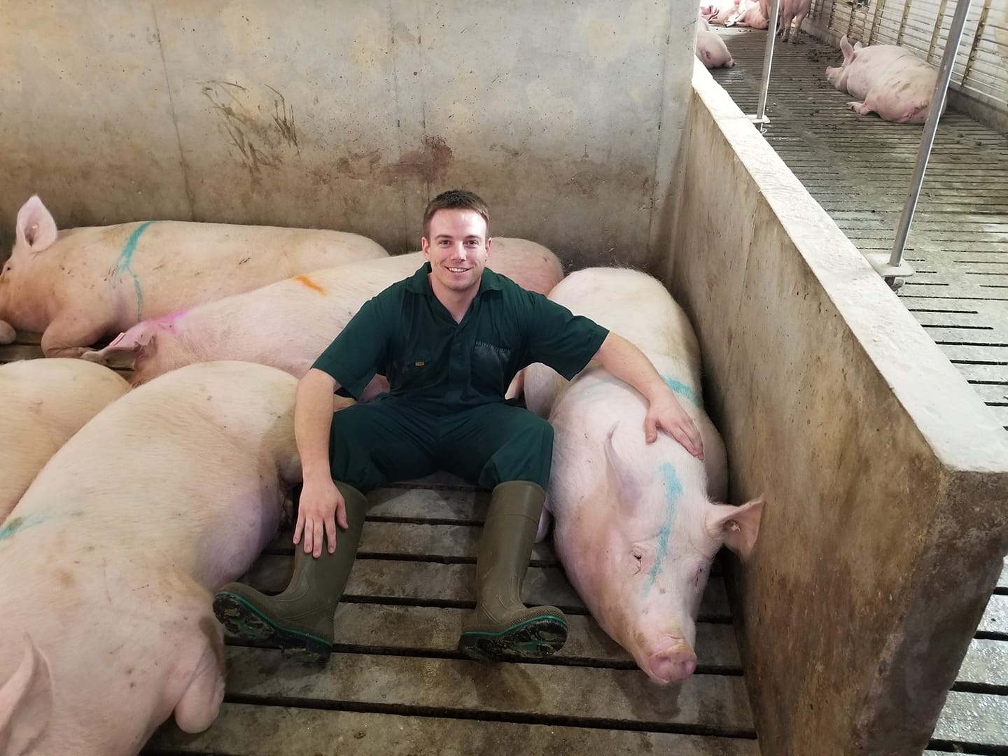 Moving forward, Rooda knew that he could apply his experience and knowledge gained so far to design an innovative product to the pig industry that would benefit both pigs and producers