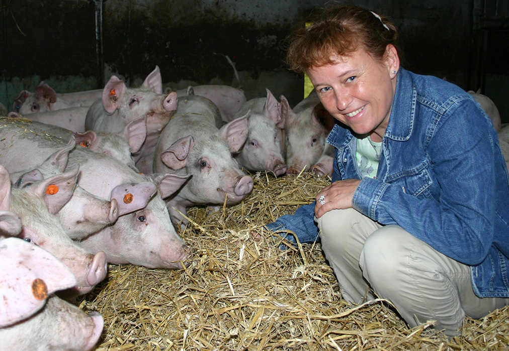 Mette Herskin interacting with young pigs