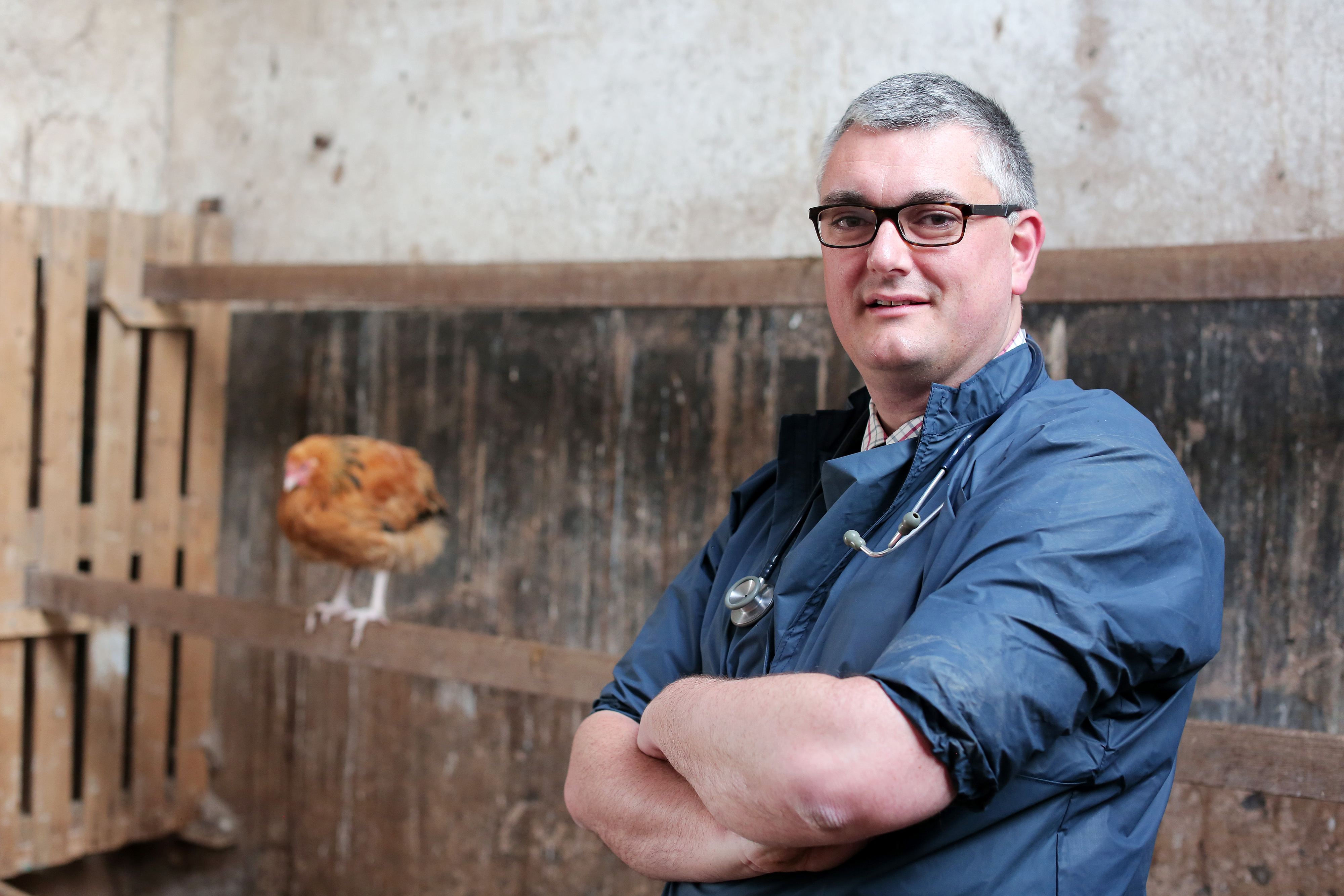 simon doherty president of bva stands with arms folded next to a chicken