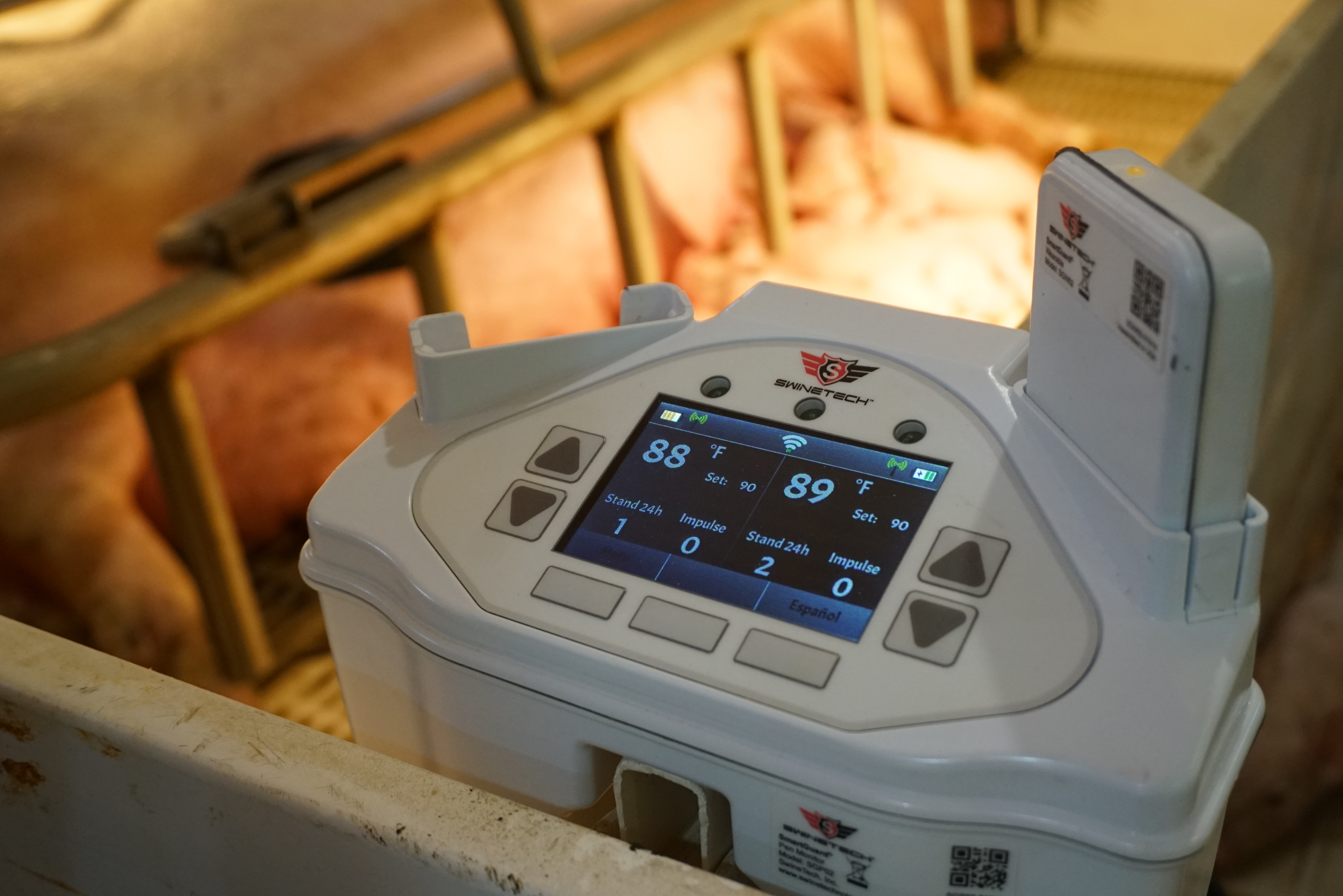 SwineTech’s award-winning product, SmartGuard, prevents piglet deaths caused by crushing