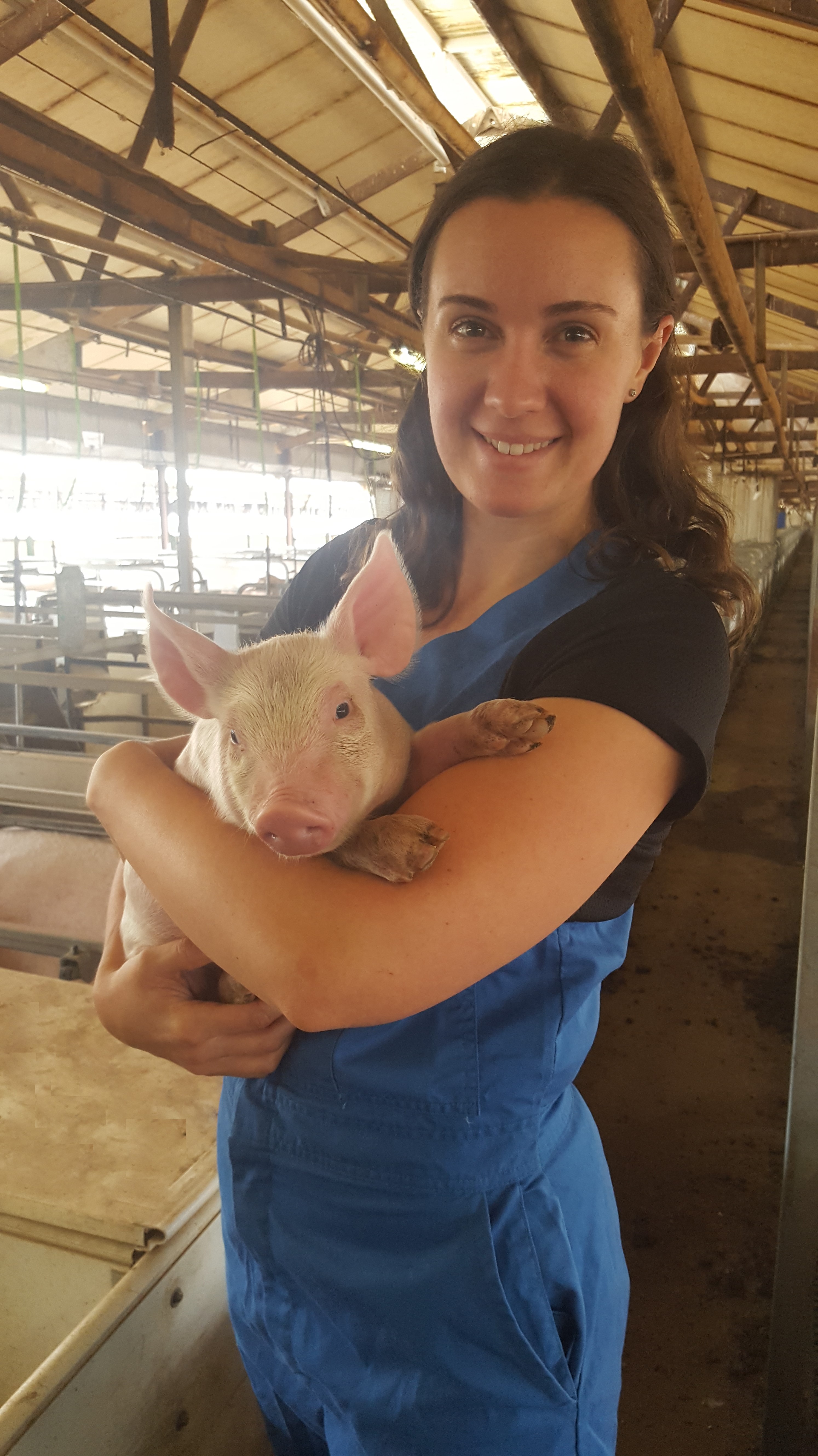 APRIL IPP Sofie Pridgeon, Wasleys Piggery, SunPork Farms, South Australia.