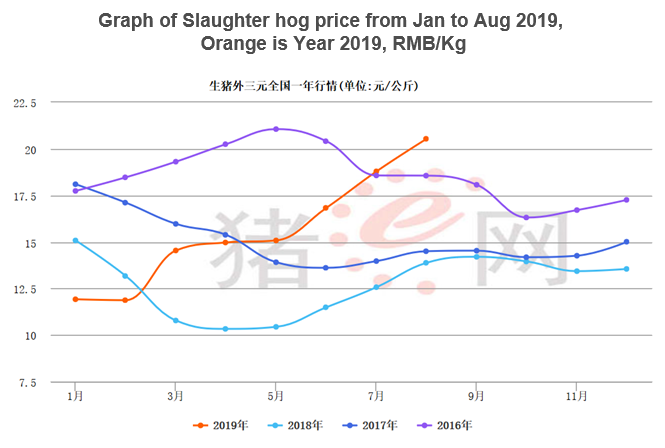 Slaughter hog price from January to August 2019