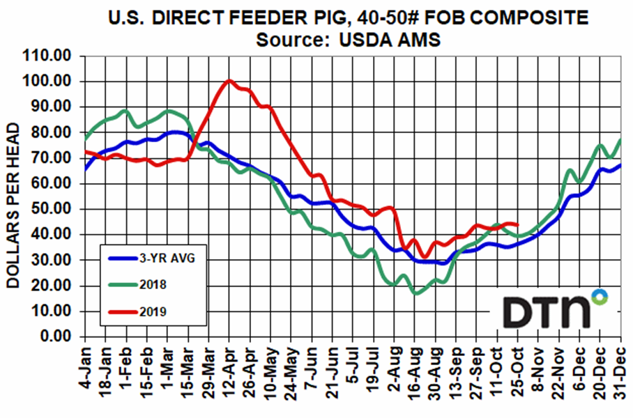 US Direct Feeder Pig Chart