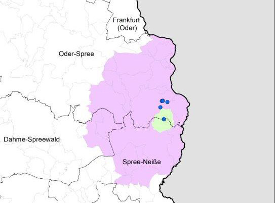 Map: Confirmed cases of African swine fever in wild boar in the districts of Spree-Neisse and Oder-Spree in Brandenburg. The cases around the municipality of Neuzelle in the Oder-Spree district partly overlap.