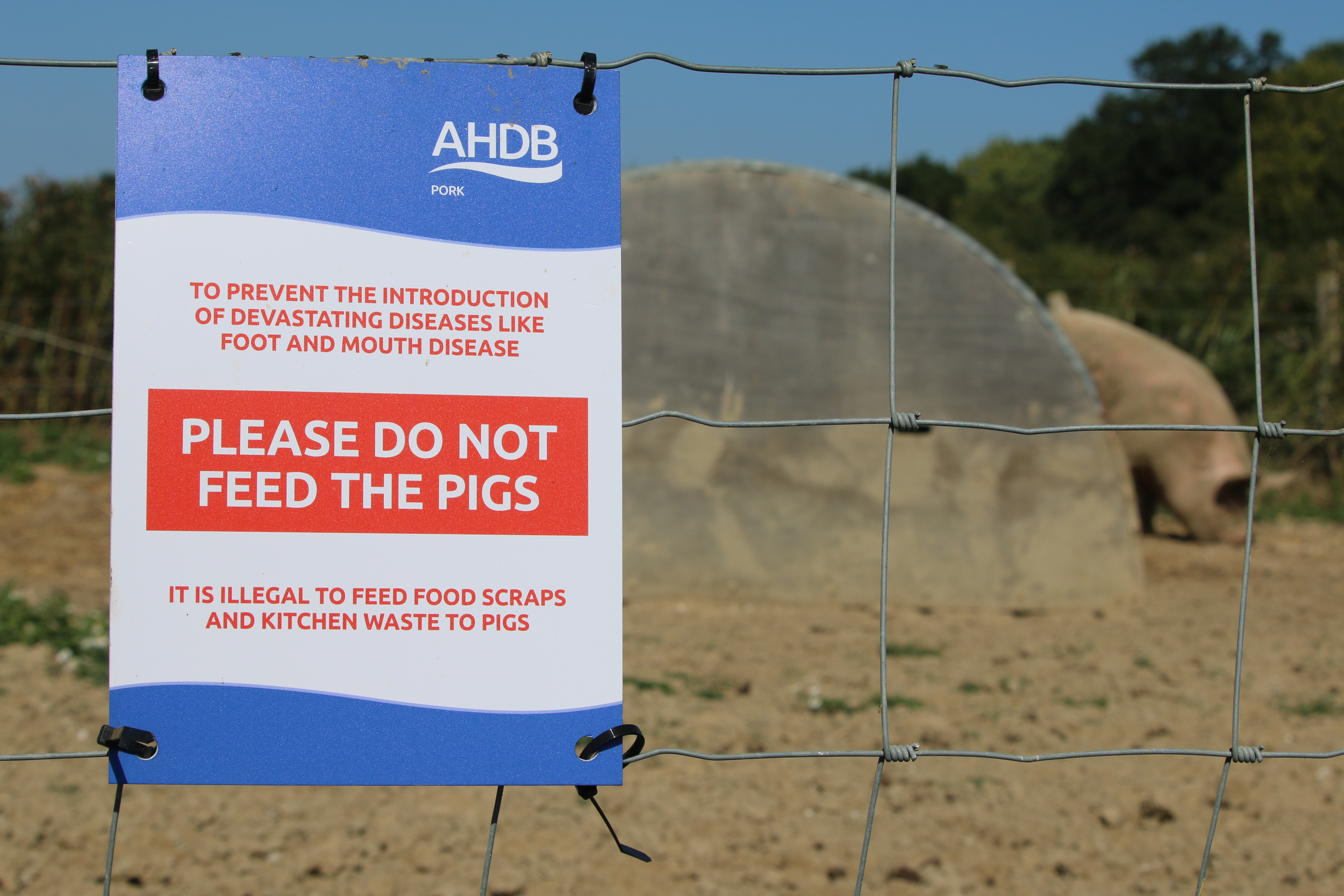 an ahdb sign telling farm visitors and keepers not to feed food waste to pigs