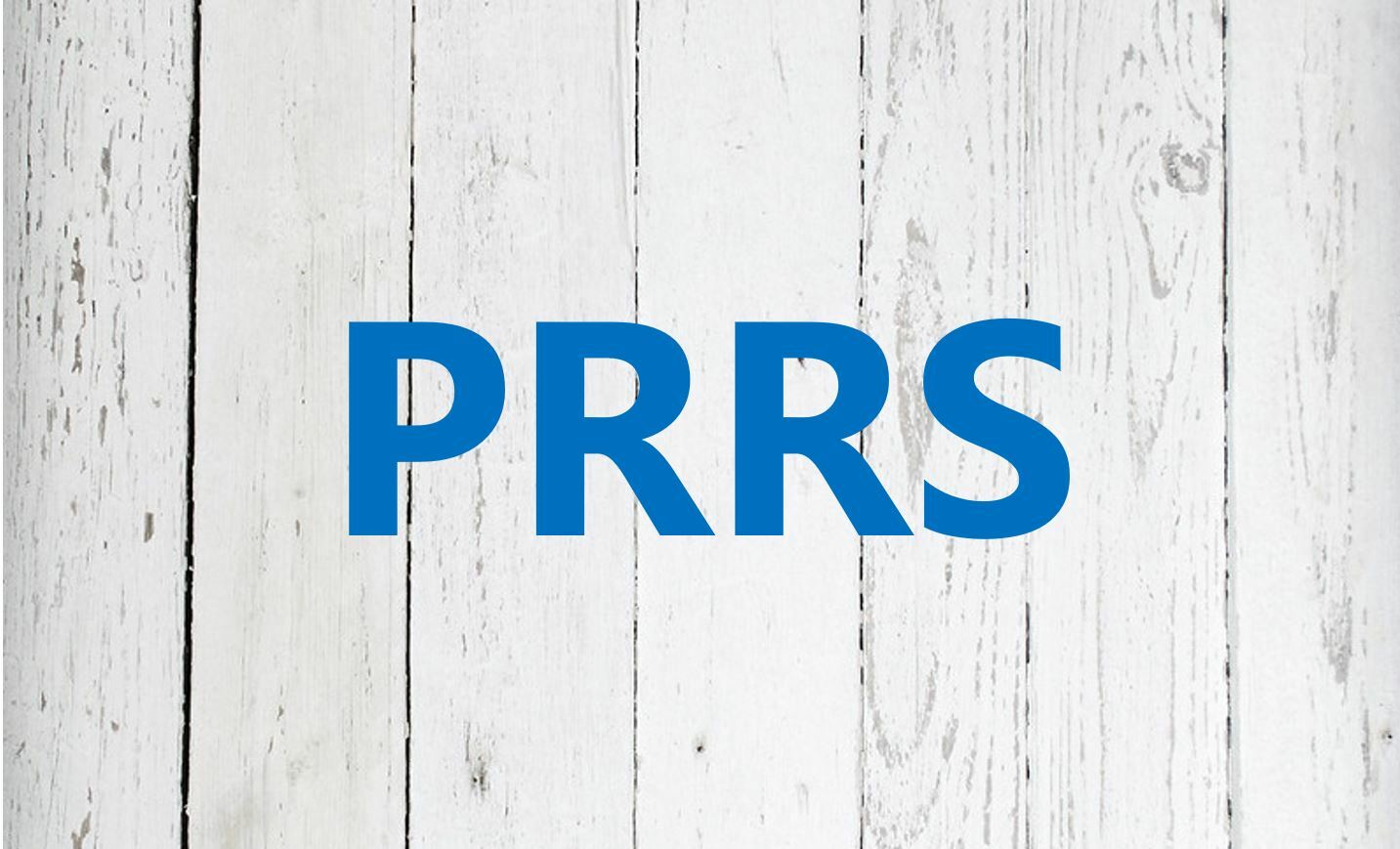 PRRS diagnostics no longer at all times simple