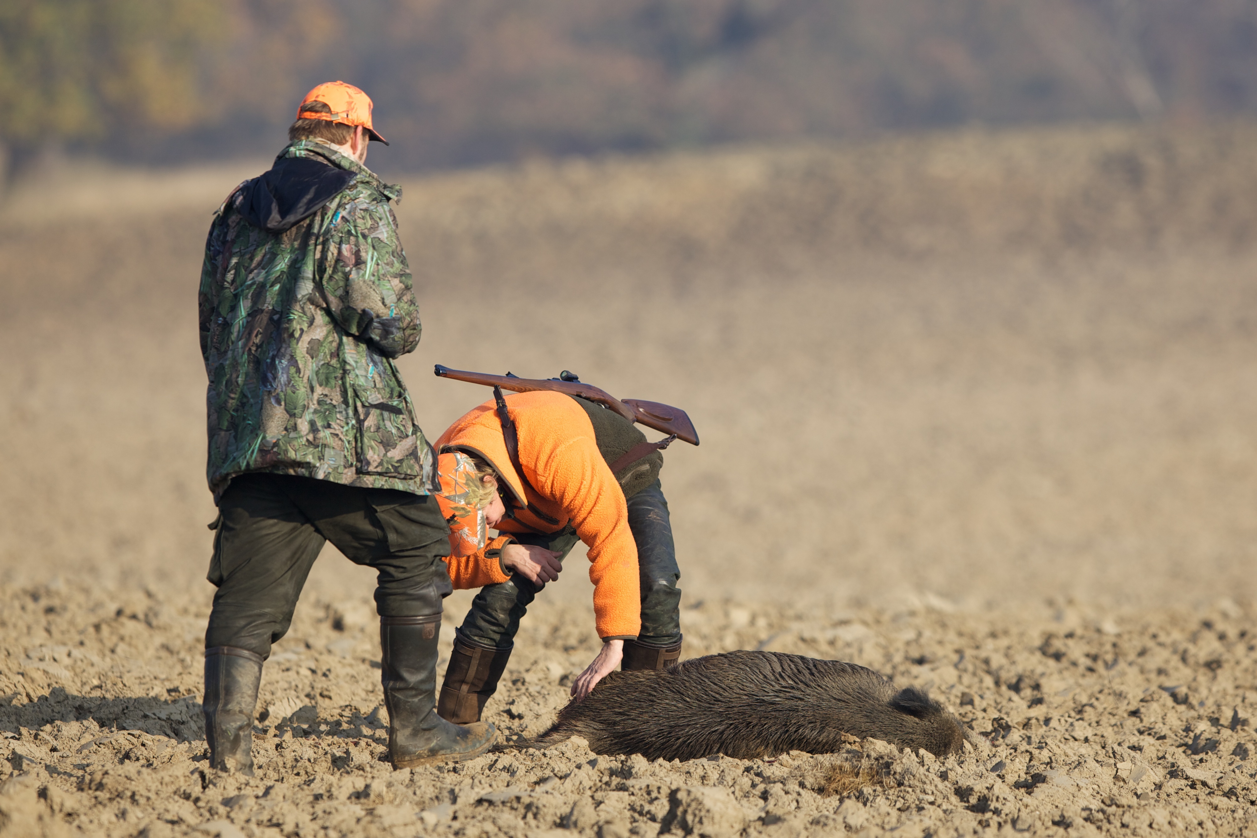 Two hunters standing over a wild boar