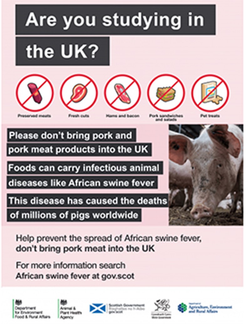 african swine fever poster instructing students entering the uk not to bring meat products across the border