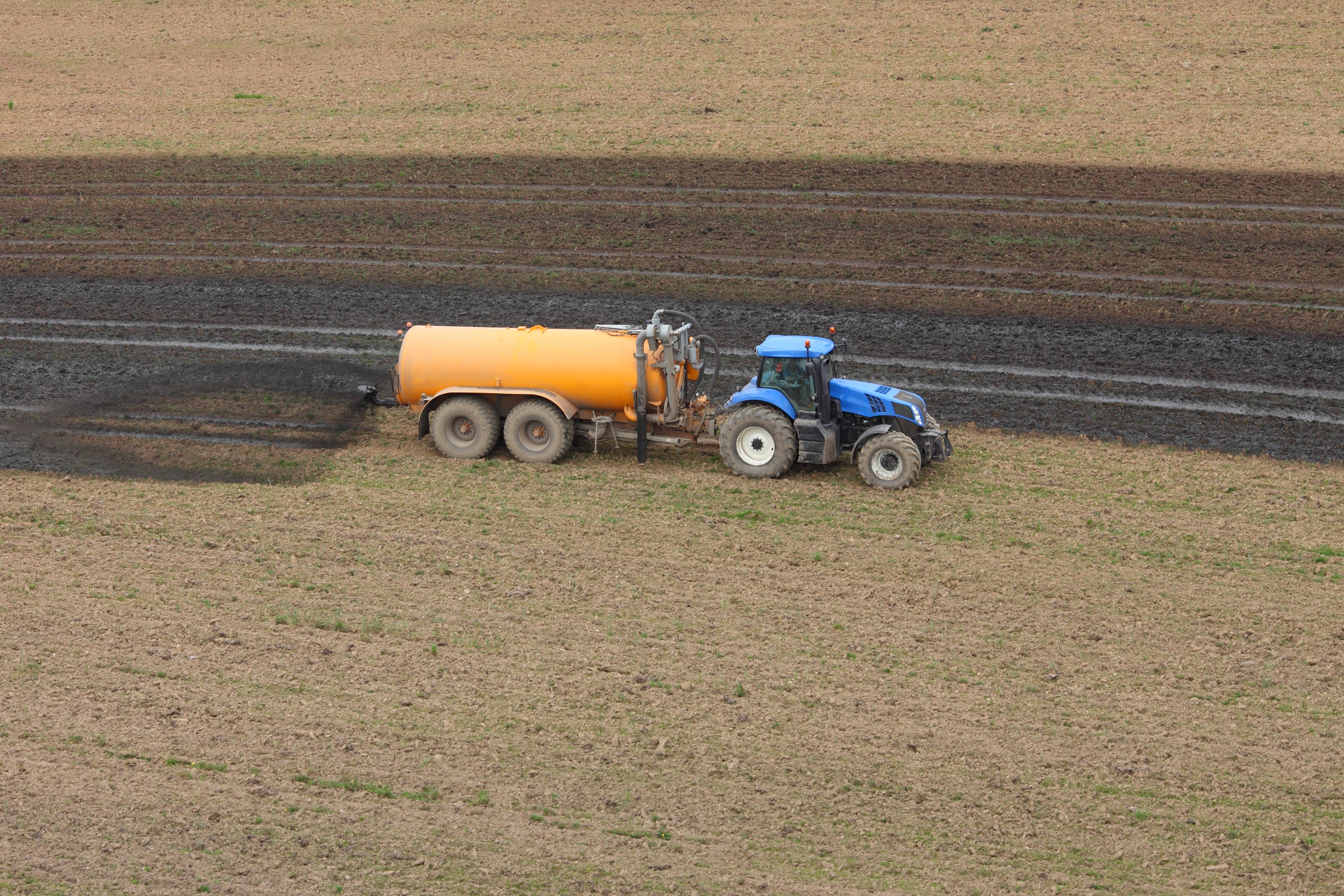 tractor spreads manure on a crop field