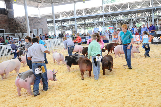 Over 20,000 people attend The World Pork Expo, which is said to be the world’s largest pork industry-specific trade show in the world