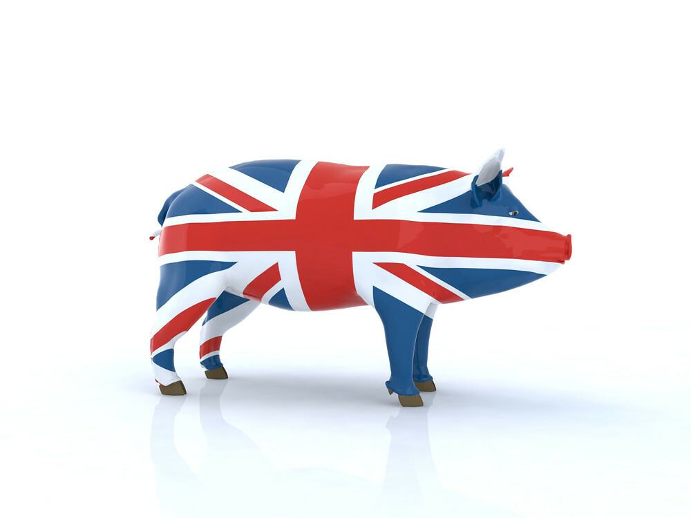 UK pig costs proceed stable decline – AHDB