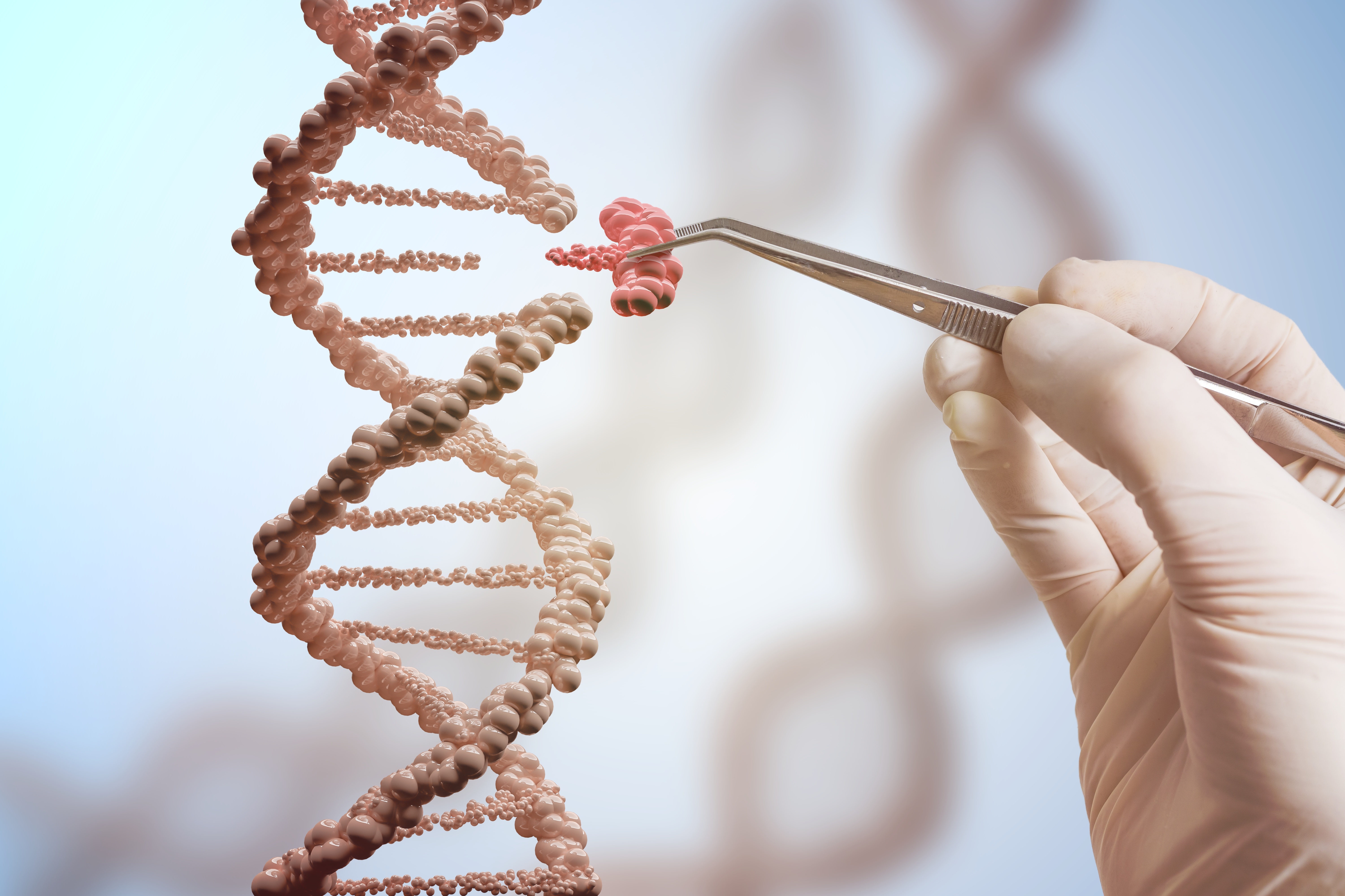 Person using tweezers to remove a segment of DNA from a larger chain