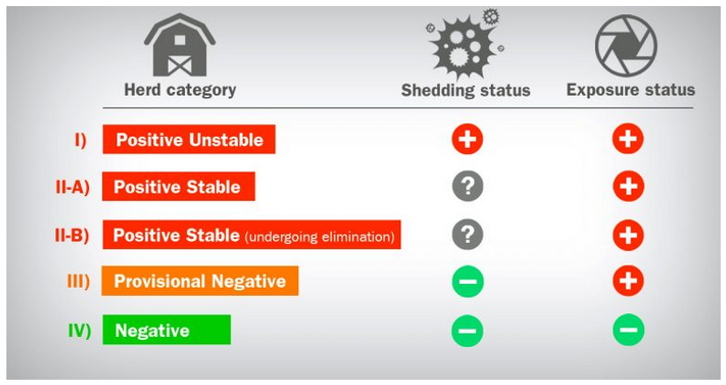 Table 1. Breeding-herd classification for Porcine Reproductive and Respiratory Syndrome virus (PRRSV) according to shedding and exposure status.