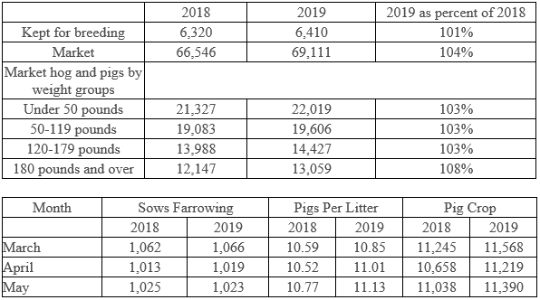 USDA 1 June hogs and pigs report